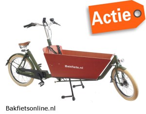 Bakfiets.nl_cargobike-long-cruiser-steps-Bakfietsonline_MatLegergroen6